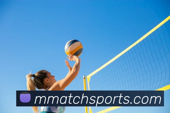 体育下注平台生态图